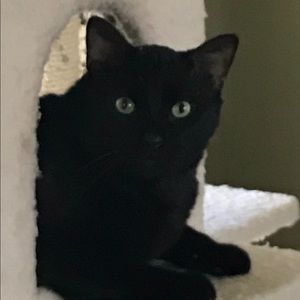 Meet your Posher, Jane